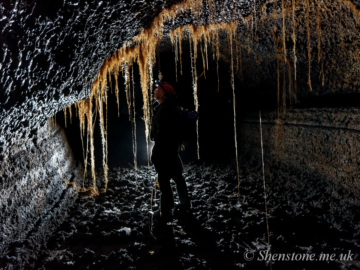 Cueva del Viento Breveritas Entrance, Tenerife, canary Islands